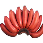 红皮蕉
